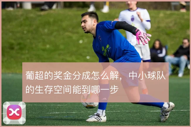 葡超的奖金分成怎么解,中小球队的生存空间能到哪一步